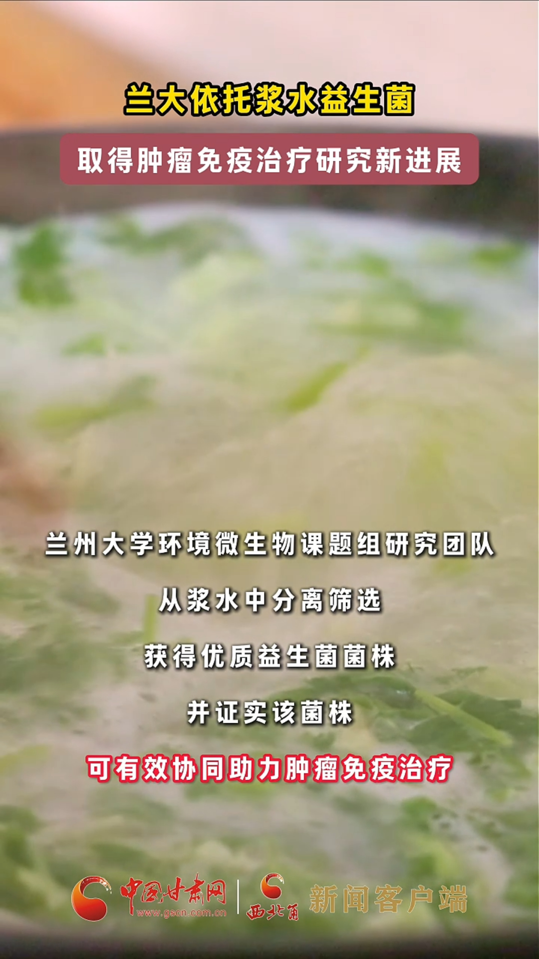 兰大依托浆水益生菌取得肿瘤免疫治疗研究新进展